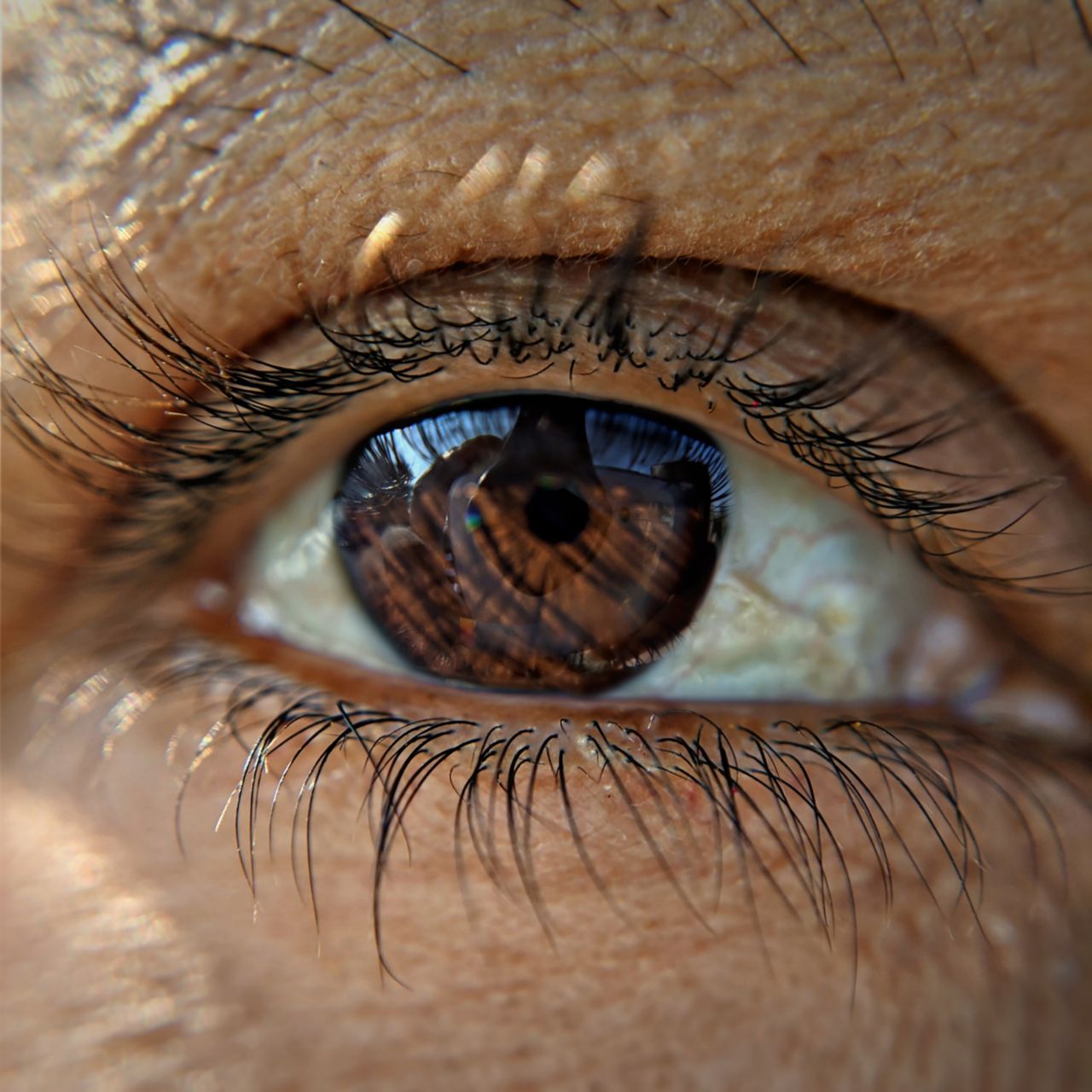 Lash lift + Hydrating treatment