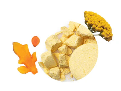 <h4>Protect Treatment</h4>